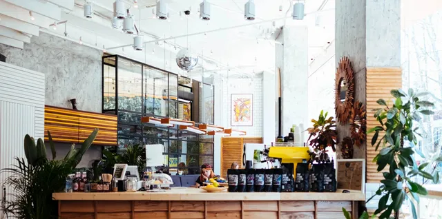 A shop with a wooden counter and plants, featuring plumbing infrastructure and commercial plumbing services.